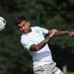 Titulares fazem transição, e Palmeiras deve ter reforços na Libertadores
