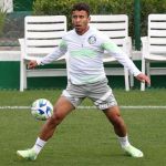 Palmeiras treina com titulares de olho no duelo contra o São Paulo