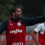 Palmeiras vê chance de reviravolta na temporada em 'final' contra Botafogo