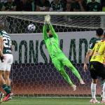 Palmeiras quebra recorde com Abel Ferreira; saiba qual