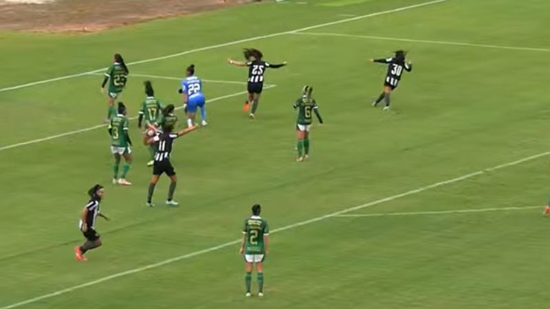 Botafogo vence Palmeiras fora de casa e 'pega elevador' no Brasileirão Feminino
