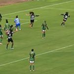 Botafogo vence Palmeiras fora de casa e 'pega elevador' no Brasileirão Feminino