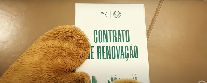 Palmeiras anuncia renovação de contrato com a Puma; veja detalhes