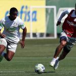 Palmeiras trabalha de olho no Cruzeiro após eliminar Atlético
