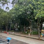 Zona da Mata e Vertentes estão sob alertas de onda de calor e de tempestade