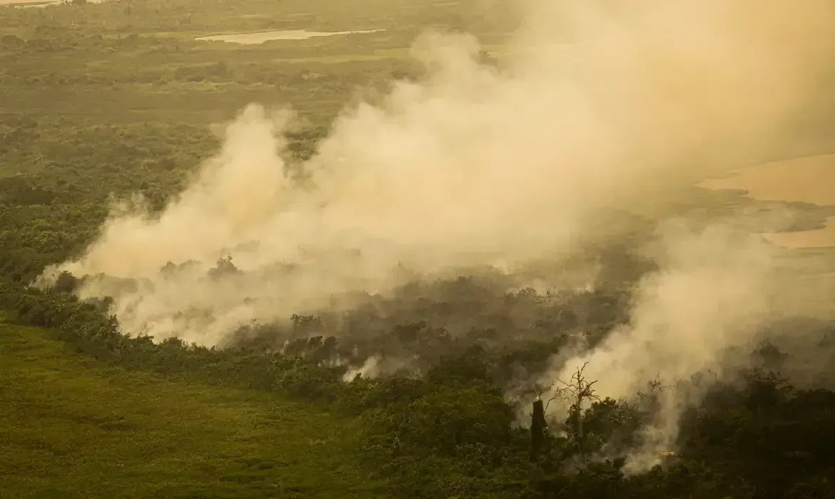 Número de focos de incêndio no Pantanal cresce mais de 2.000% em 2024