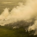 Pantanal já registrou mais de 4 mil focos de calor em 2024