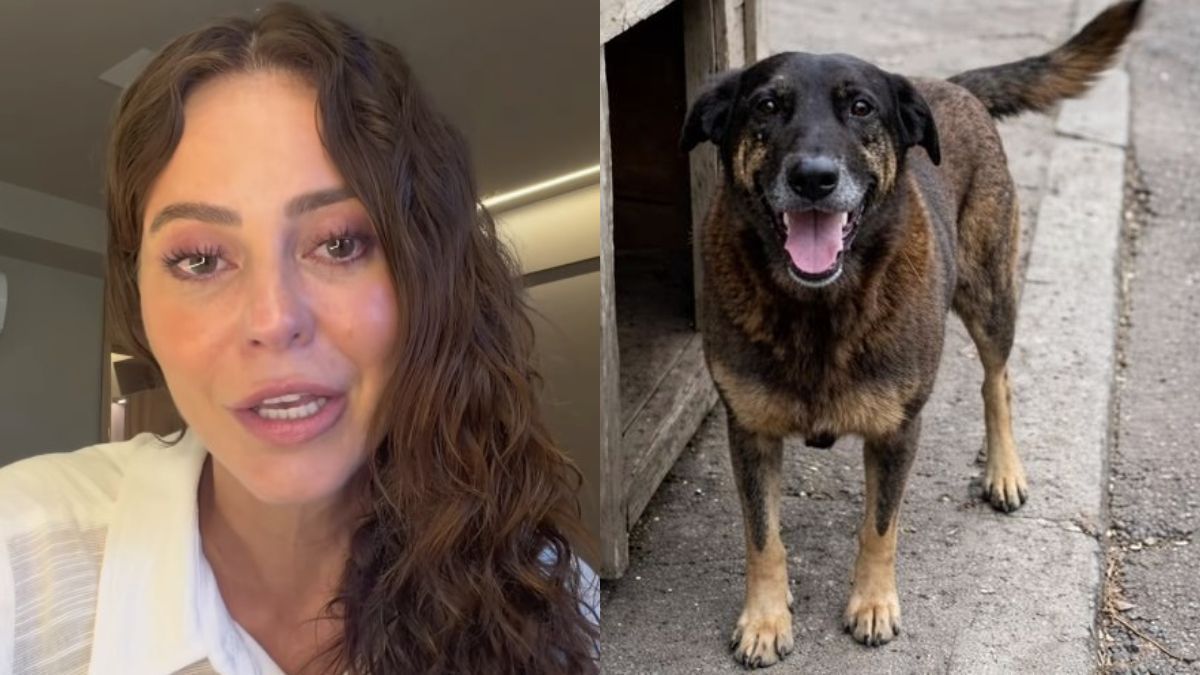 Paolla Oliveira chora e detona suspeitos de matar cão Orelha a pauladas: 'Bandidos'