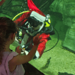 Papai Noel faz mergulho no Aquário do Rio São Francisco no zoológico de BH; veja programação