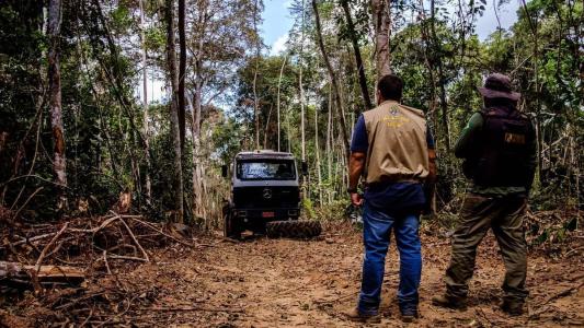 Pará, Amazonas, Mato Grosso, Bahia e Maranhão responderam por dois terços (66%) do desmatamento detectado no Brasil em 2022