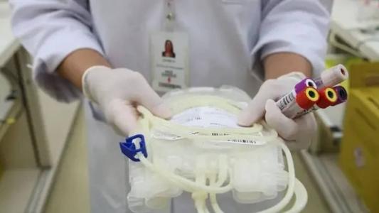 Para doar é preciso fazer um agendamento no site do Hemominas