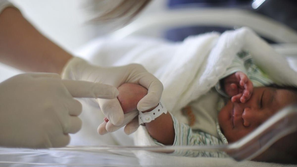 Mutirão 'Direito a ter pai' terá DNA e reconhecimento de paternidade gratuitos em MG, saiba como
