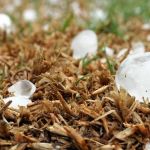 Tempestade e granizo podem atingir 378 cidades do Paraná; veja quais