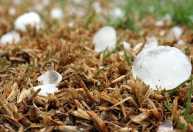 Minas tem alerta de tempestade e granizo para quase 500 cidades; veja quais