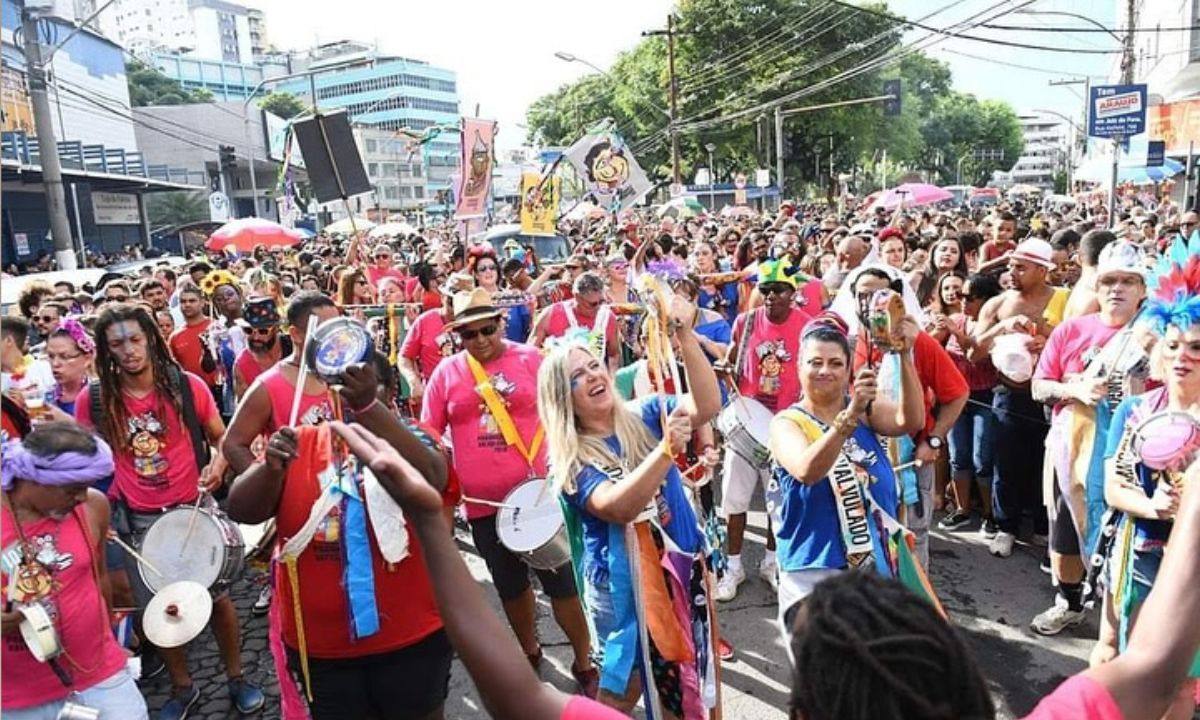 Carnaval 2025: Domésticas de Luxo e Parangolé Valvulado são destaques em Juiz de Fora