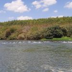 Afogamento: bombeiros procuram por três pessoas no Rio Paraopeba, em MG