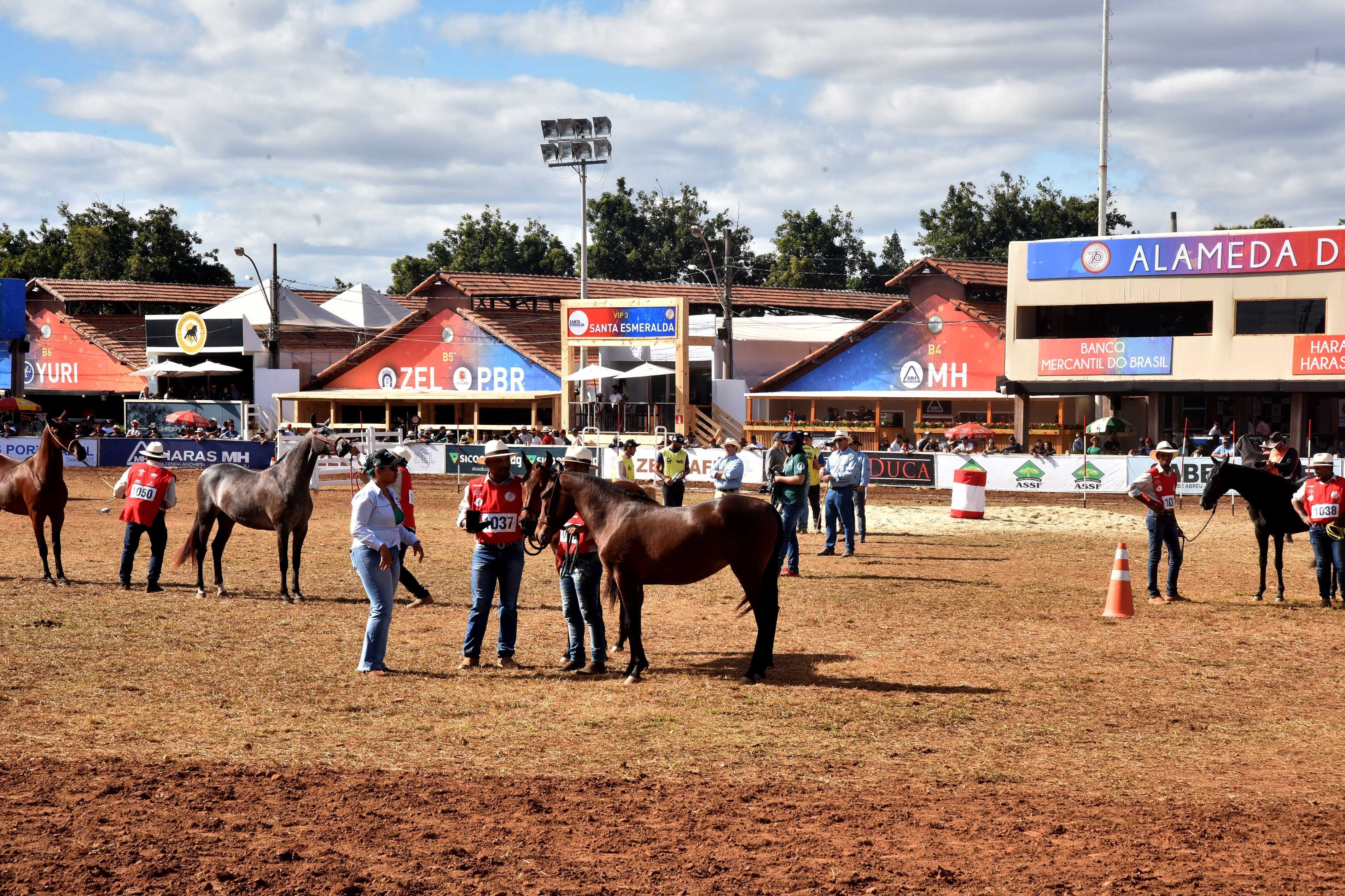 Nova diretora do IMA terá como principal pauta a transferência de gestão do Parque da Gameleira