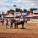 ABCCMM planeja transformar Parque da Gameleira em centro de referência do agronegócio e arena