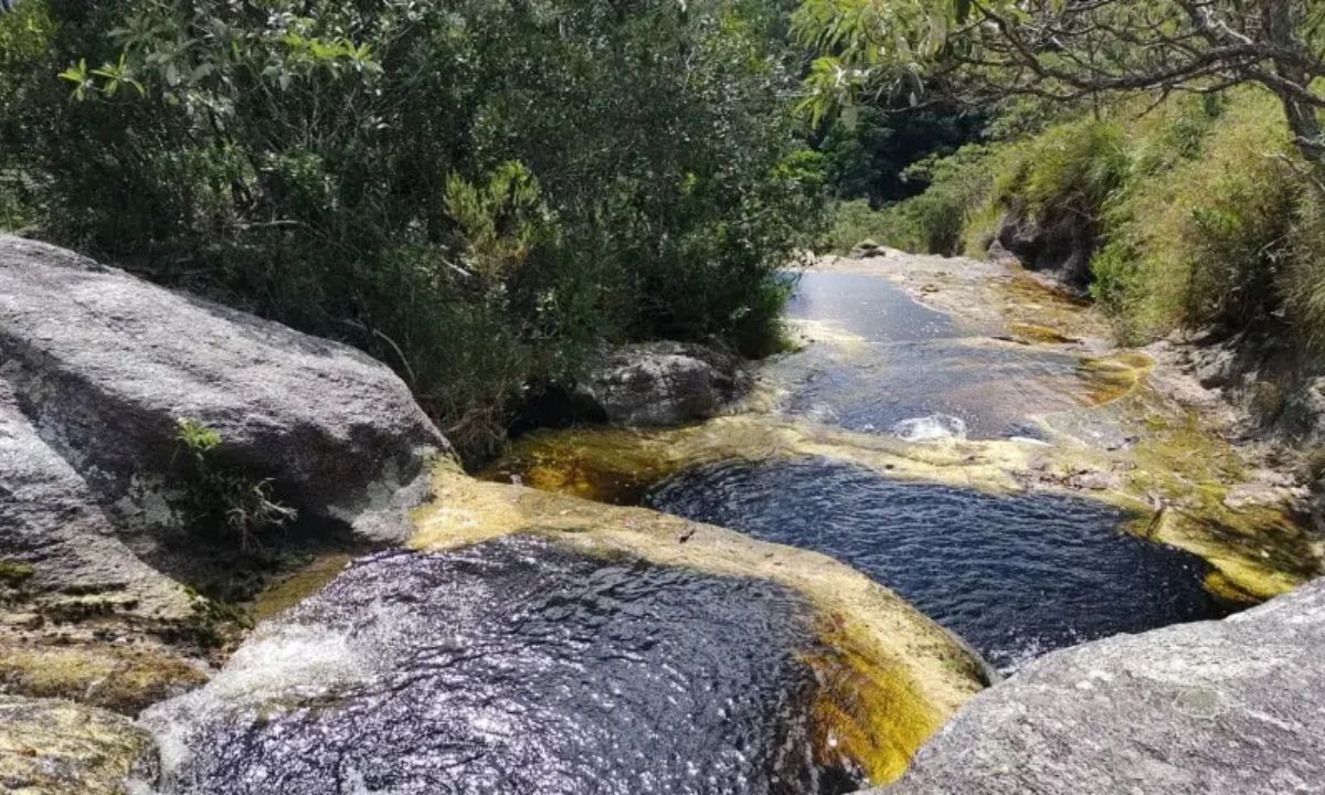 Cerimônia marca entrega do Plano de Manejo do Parque da Serra Negra da Mantiqueira