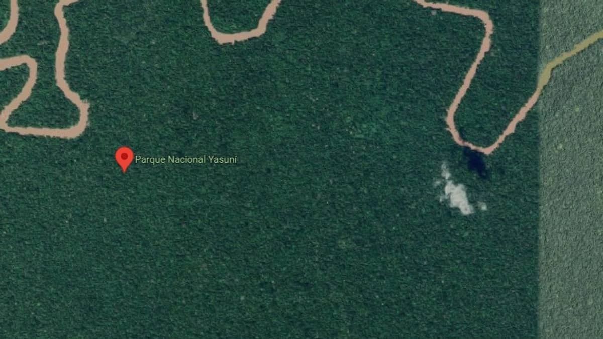 Em plebiscito histórico, Equador suspende exploração de petróleo na Amazônia