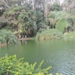 Três parques de BH têm horário de funcionamento ampliado; saiba locais