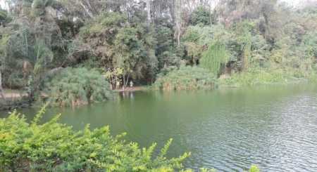 Vista do Parque Lagoa do Nado, na Pampulha
