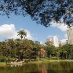 Enquanto a revitalização não vem: as estratégias do comércio do hipercentro de BH para vencer dificuldades e driblar as concorrências