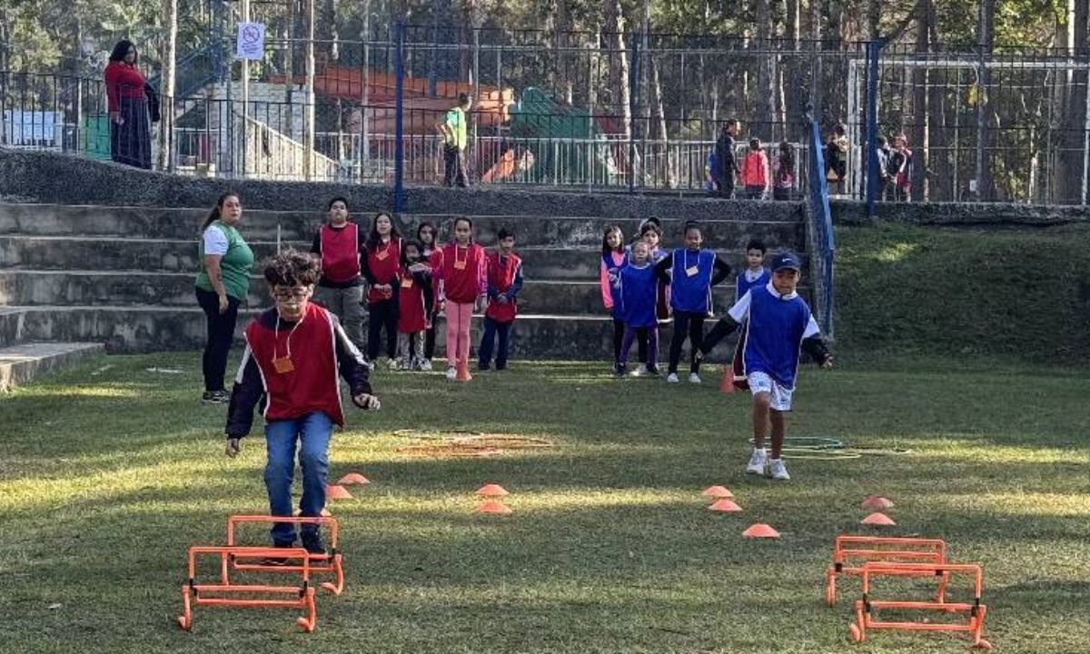 Parque Municipal de Juiz de Fora abre inscrições para Colônia de Férias de Verão