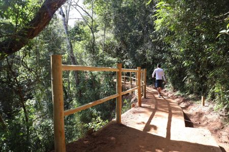 Pessoa caminhando em trilha