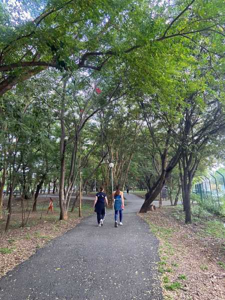 Parque Sagarana recebe milhares de visitantes anualmente