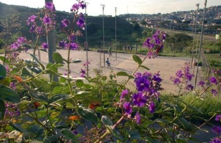 PARQUE CARLOS DE FARIA TAVARES PARQUE VILA PINHO