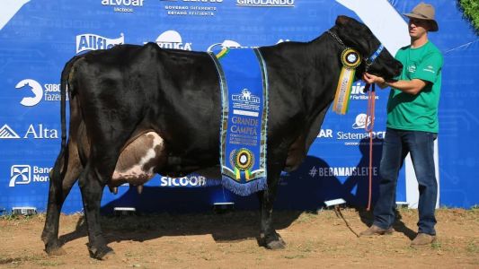 Parreira FIV Bradnick SJ Lalu nunca tinha participado de um Torneio Leiteiro nacional antes