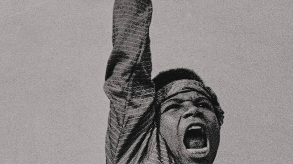 Livros: racismo, vestidos e a história do sensacionalismo na TV brasileira 