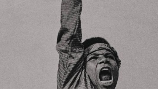 Parte da capa de "Medo da Consciência Negra"