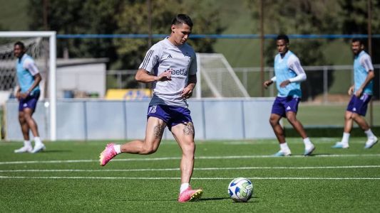 Partida entre Palmeiras e Cruzeiro será disputada em estádio com grama artificial