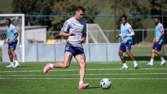 Partida entre Palmeiras e Cruzeiro será disputada em estádio com grama artificial