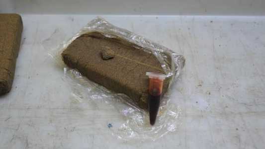 No total, foram apreendidos mais de 30 kg de drogas