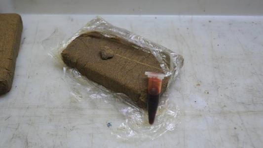 No total, foram apreendidos mais de 30 kg de drogas