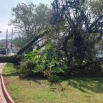 Passagem de ciclone extratropical deixa danos em cidades do litoral de São Paulo