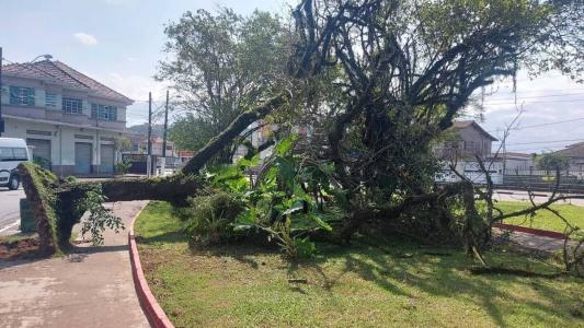Passagem de ciclone extratropical deixa danos em cidades do litoral de São Paulo.