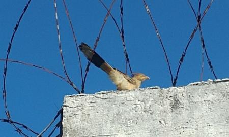 Imagem feita por um dos acautelados no Centro Socioeducativo de Juiz de Fora para o Festicid 2025