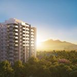 Patrimar comemora conquistas em 2024 e busca crescimento sustentável este ano