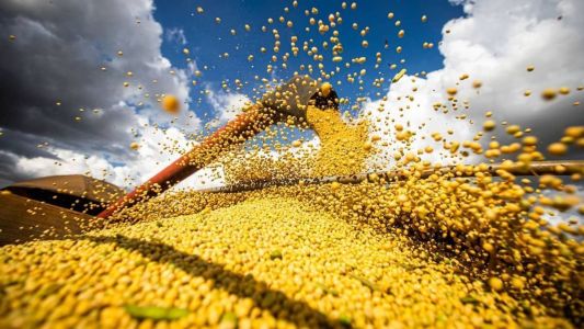 Patrimônio é disputado entre herdeiros