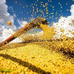 Patrimônio bilionário deixado pelo “Rei da Soja“ é alvo de disputa entre herdeiros