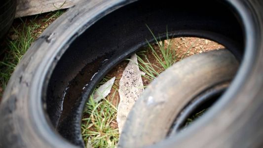 PBH pede para que população evite deixar água parada