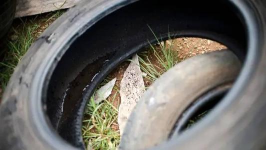 PBH reforça pedido para que população se previna contra a dengue e chikungunya