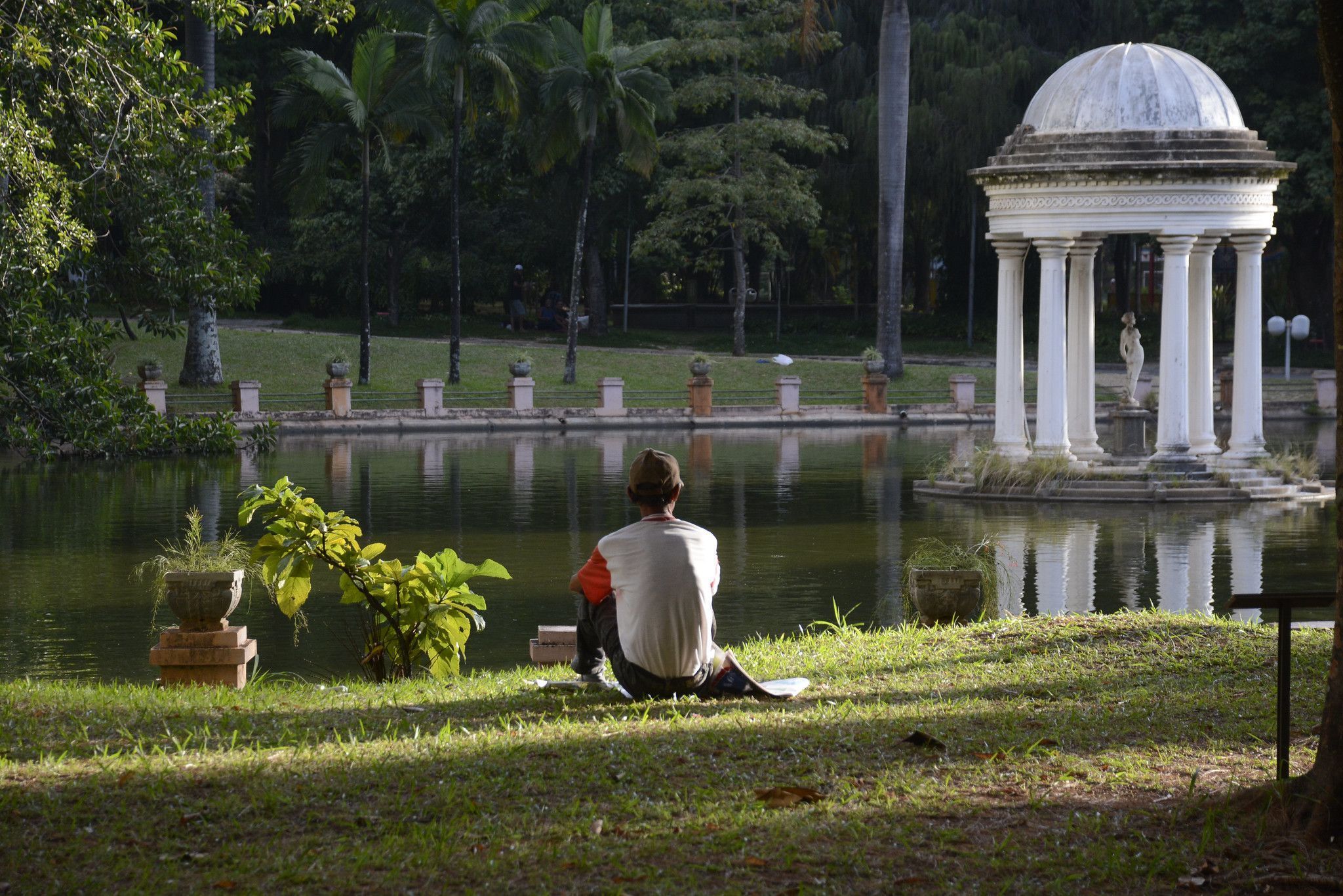 Parque Municipal de BH altera horário para vacinação de gatos entre 1º e 10 de julho; veja