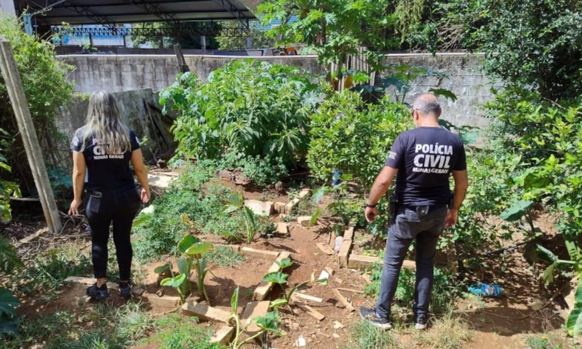 Idoso é preso por crime de maus-tratos a animais domésticos em Minas Gerais