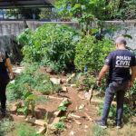 Idoso é preso por crime de maus-tratos a animais domésticos em Minas Gerais