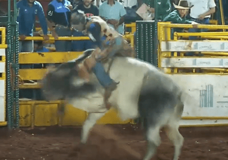 Vídeo: peão é arremessado por touro durante rodeio em Minas Gerais | CNN Brasil